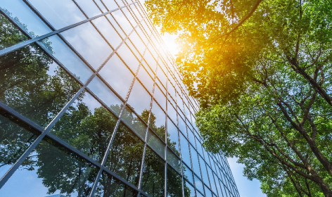 A photo of the sun shining through some trees and reflecting off a glass fronted building.